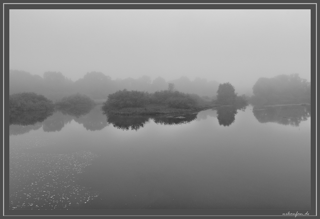 Nebel