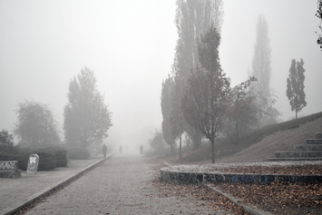 Nebel
