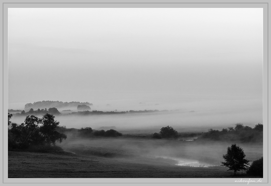 Nebel