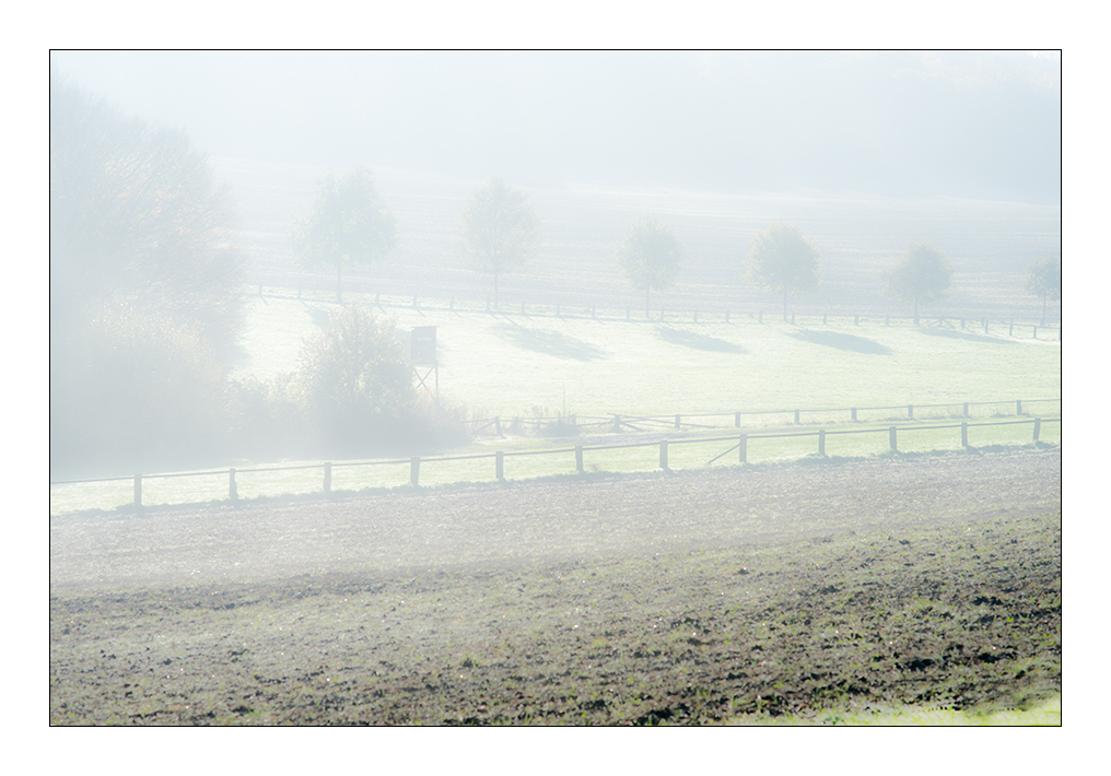 nebel