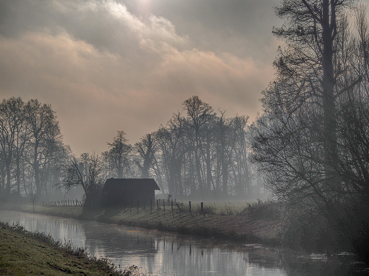 Nebel