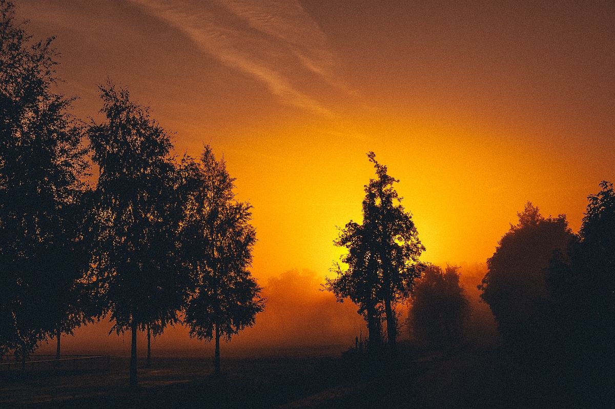 Nebel