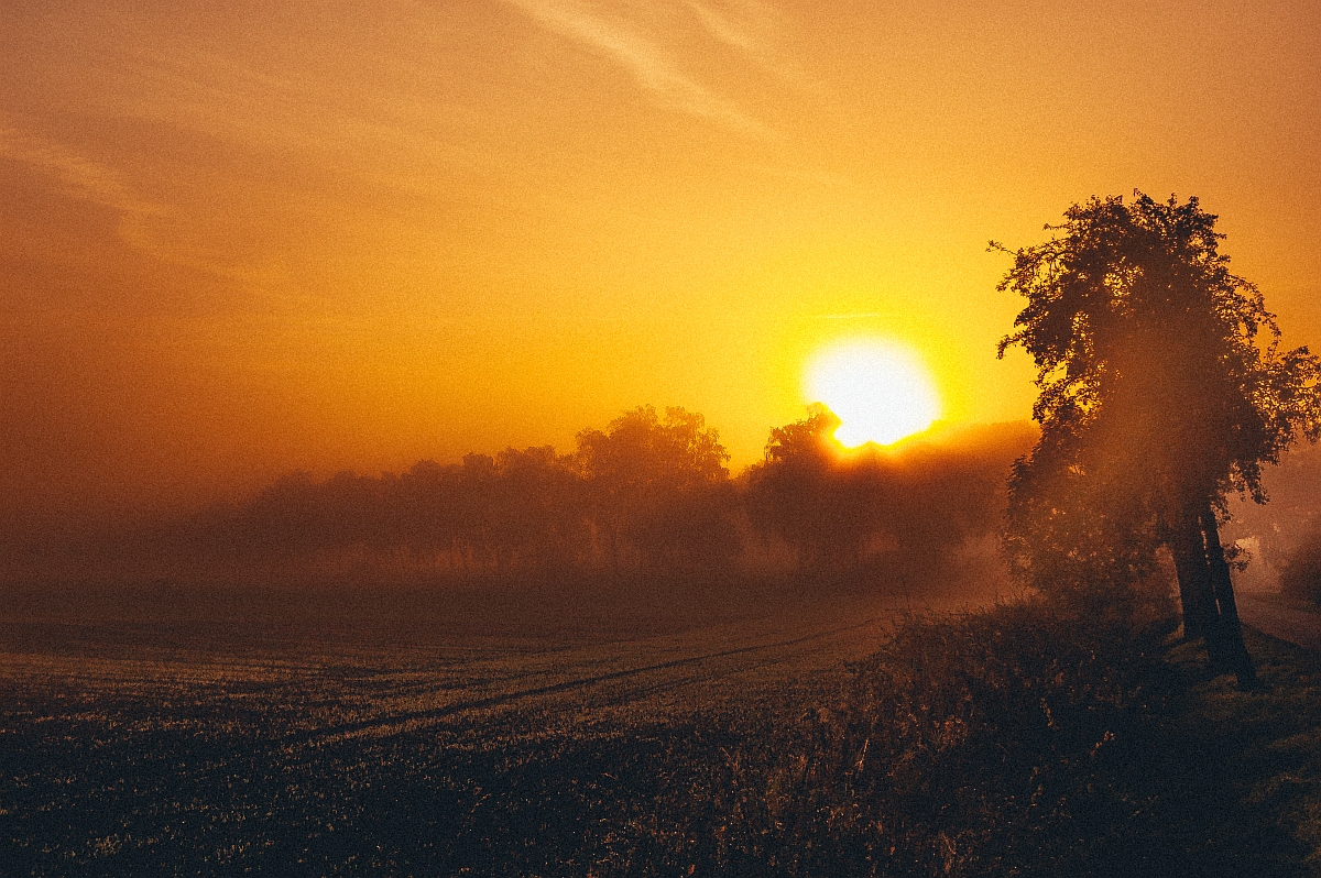 Nebel