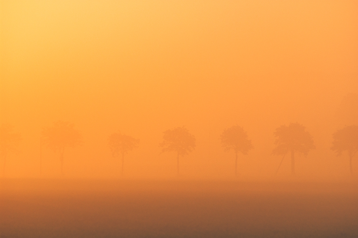 Nebel