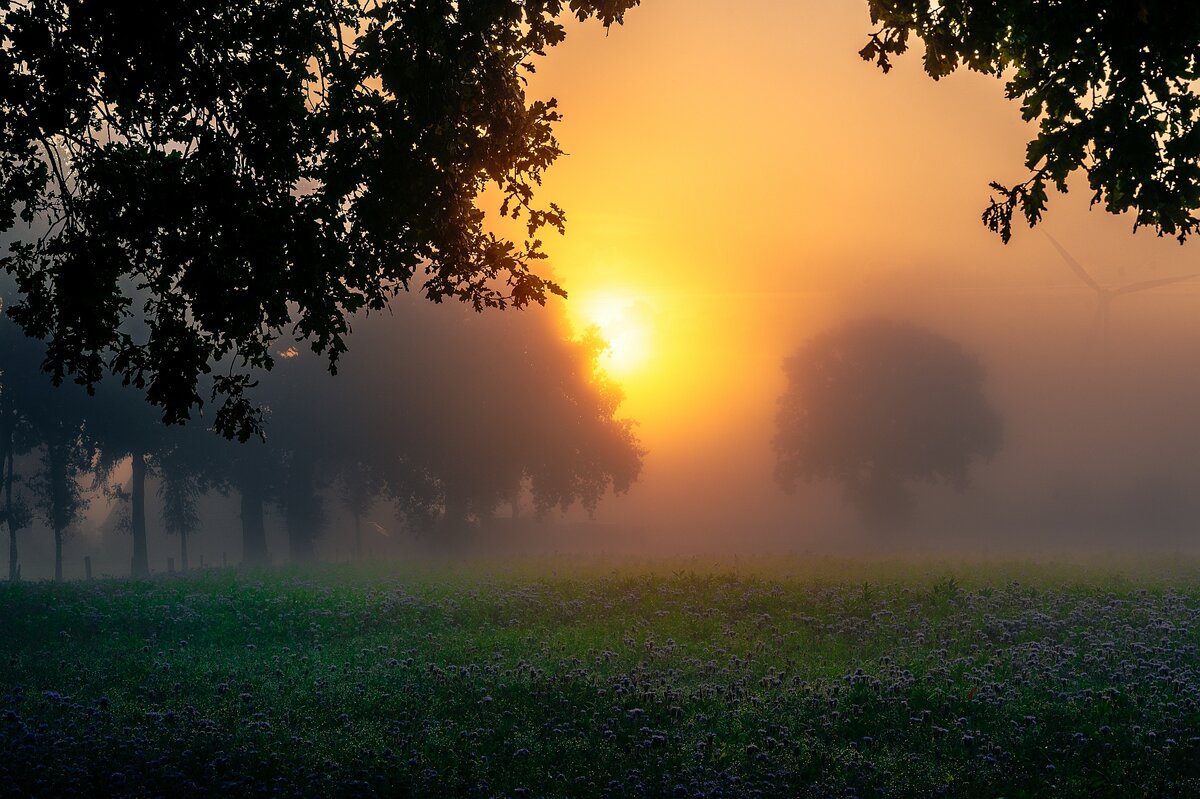 Nebel