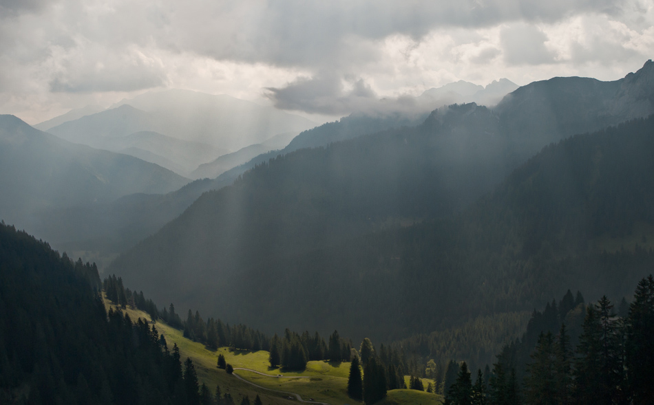 nebel