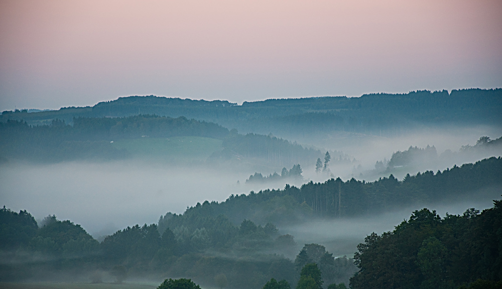 Nebel