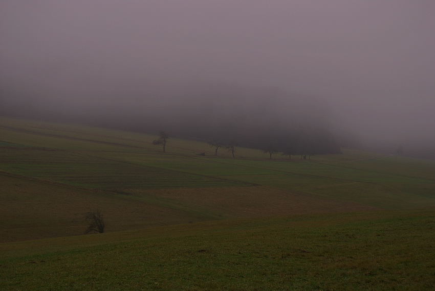 nebel1 (1 von 1)