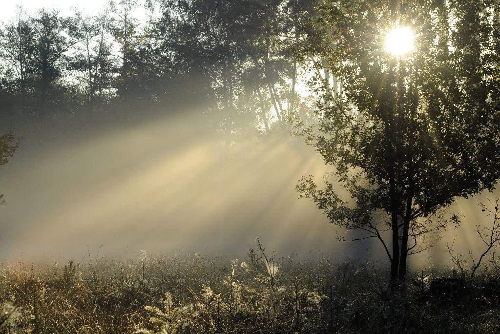 Nebel1
