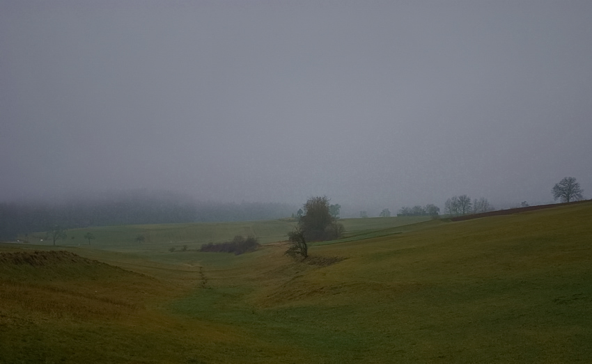 nebel2 (1 von 1)