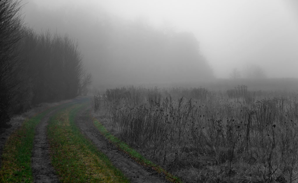 Nebel2
