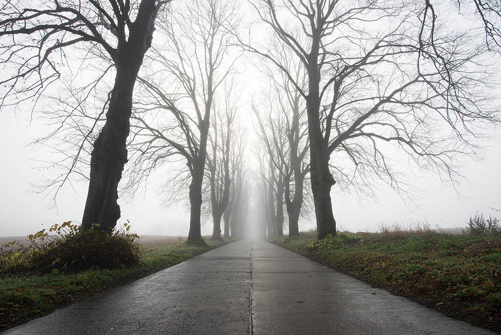 nebel3