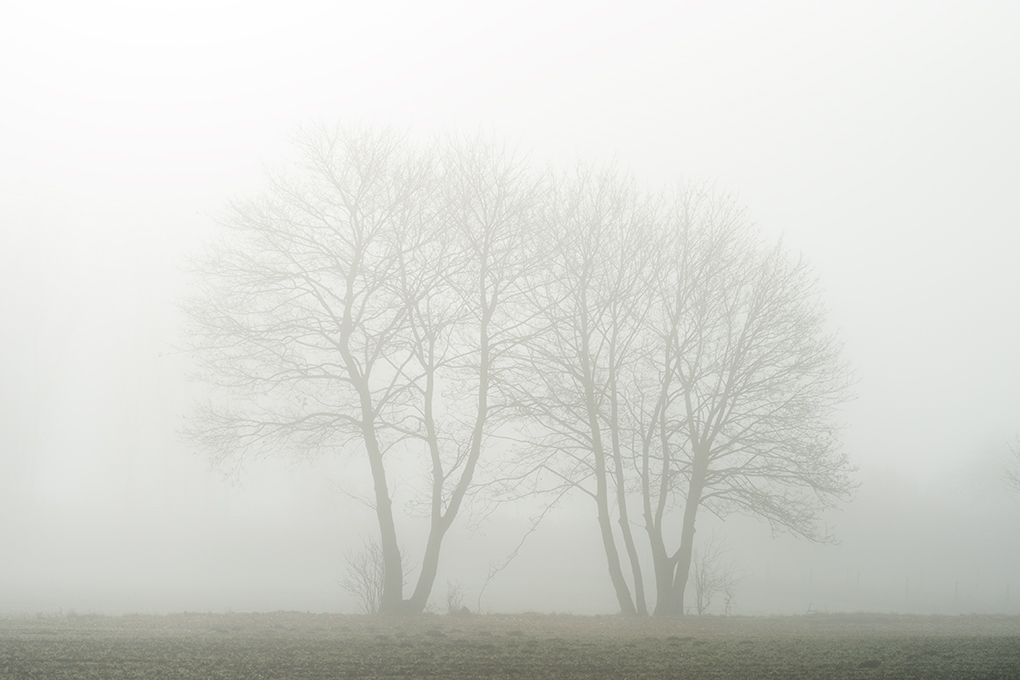nebel4
