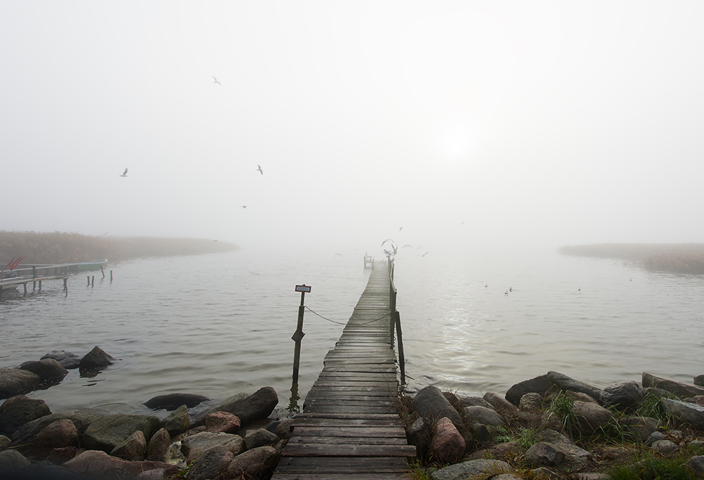 nebel6