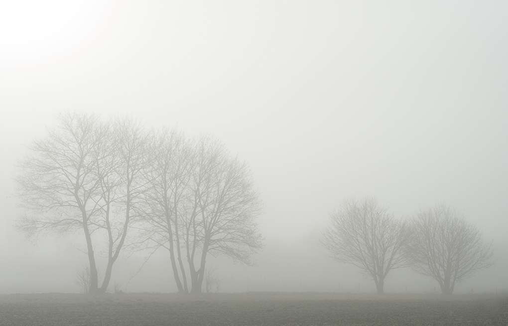 nebel7