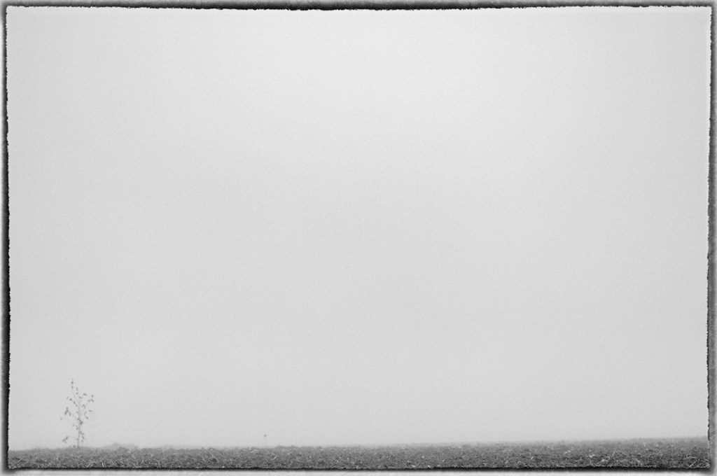 NebelDSC 0052