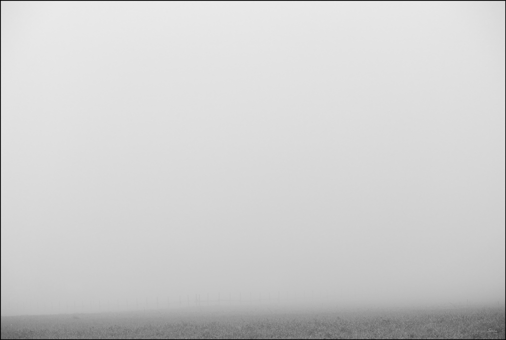 NebelDSC 0482