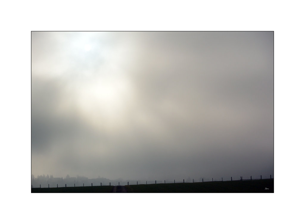 NebelDSC 6610