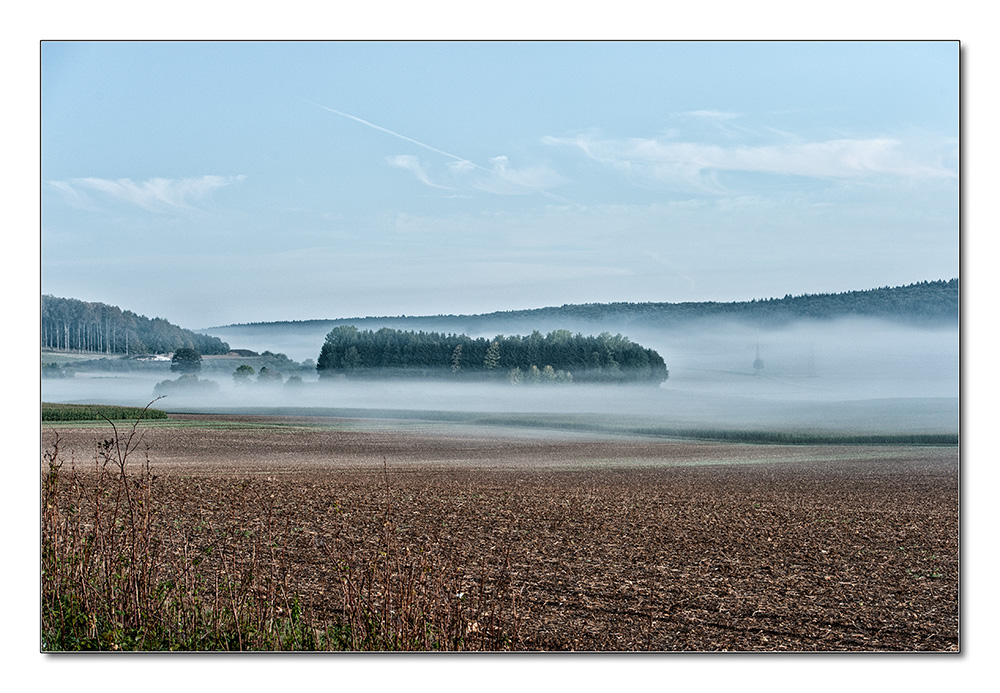 Nebellandschaft2