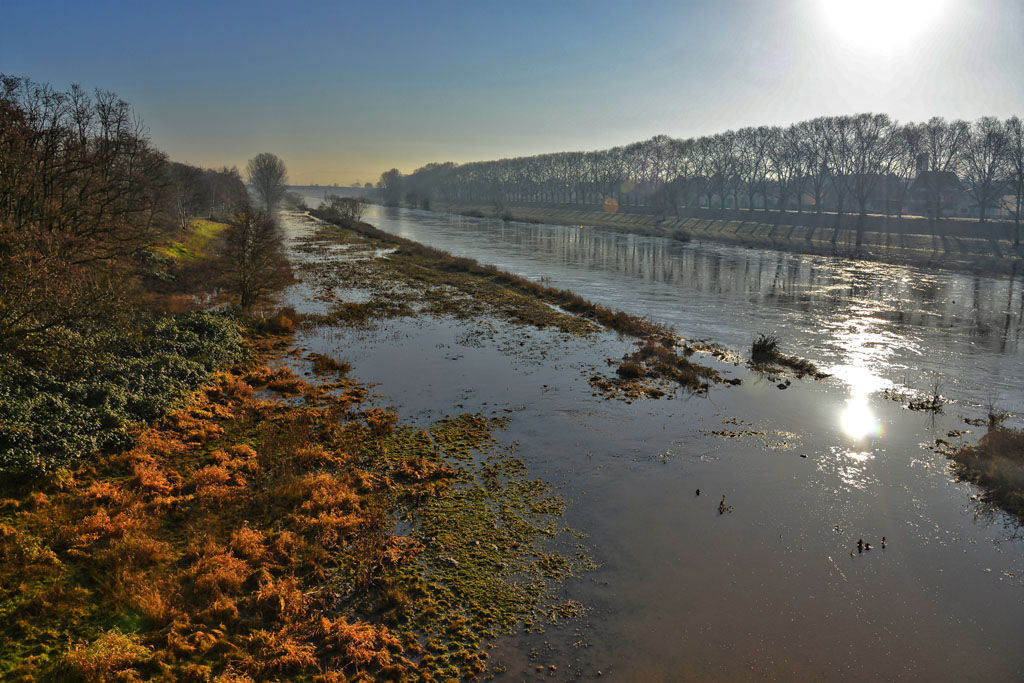 neckarhochwasser mannheim