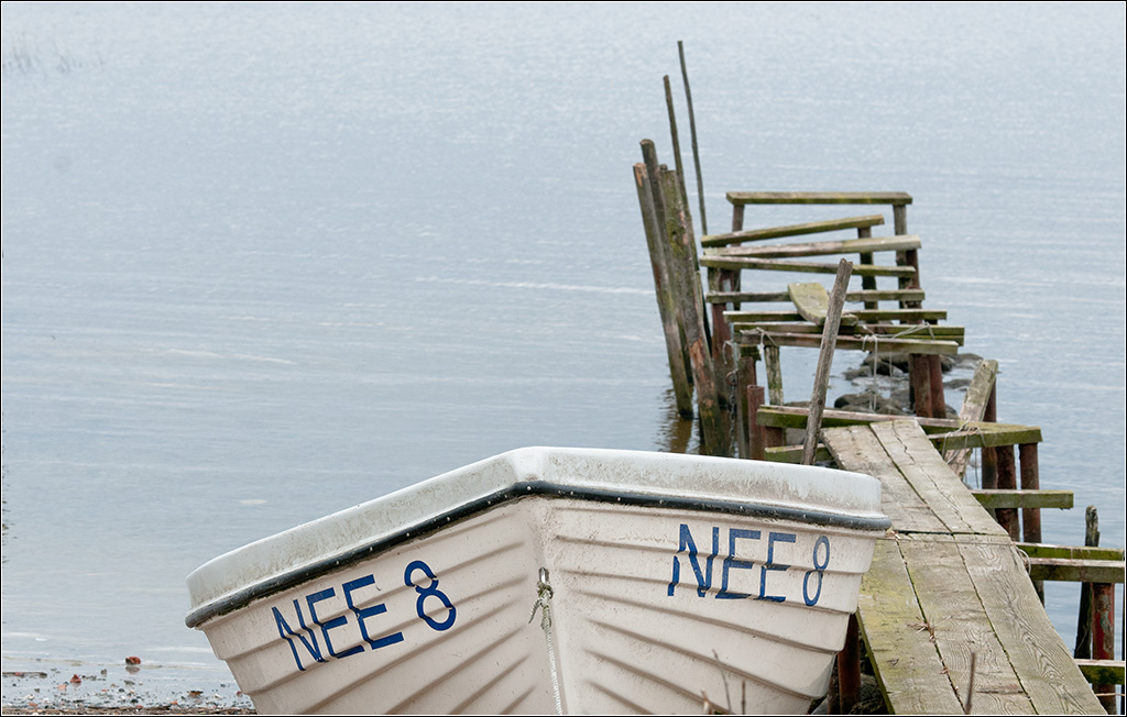 NEE8
