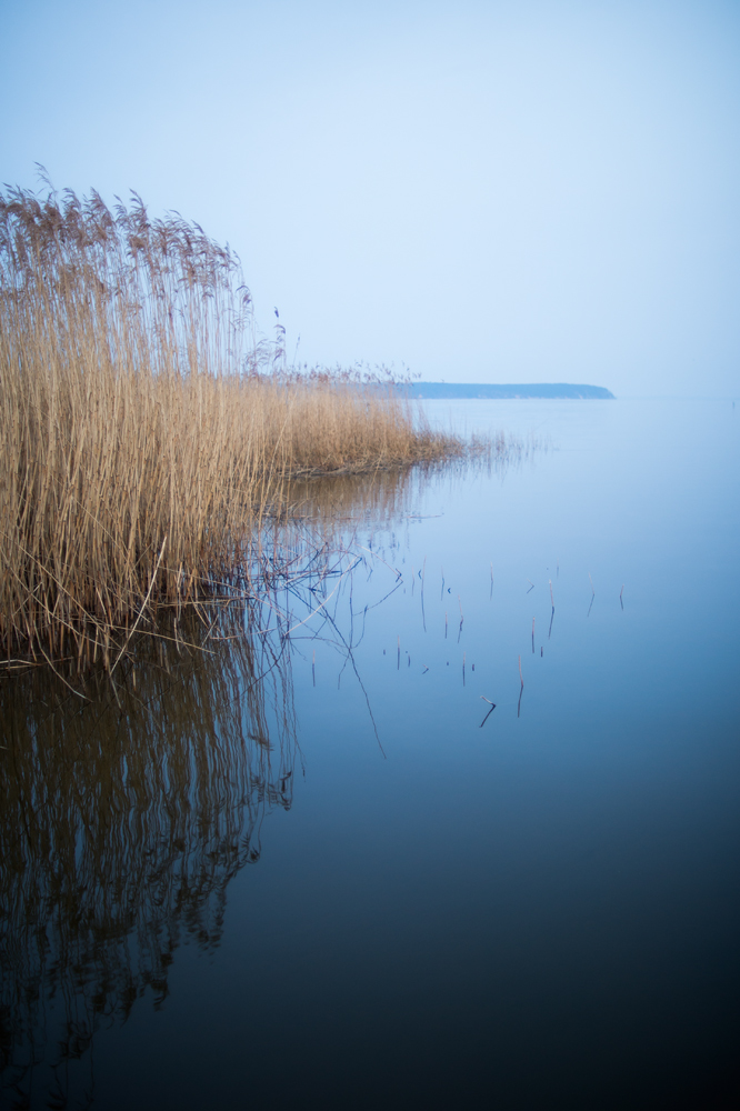 neeberg 0314