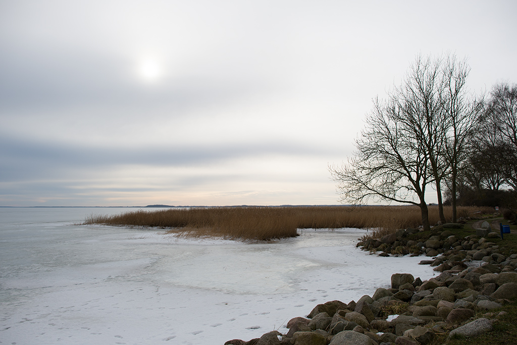 neeberg
