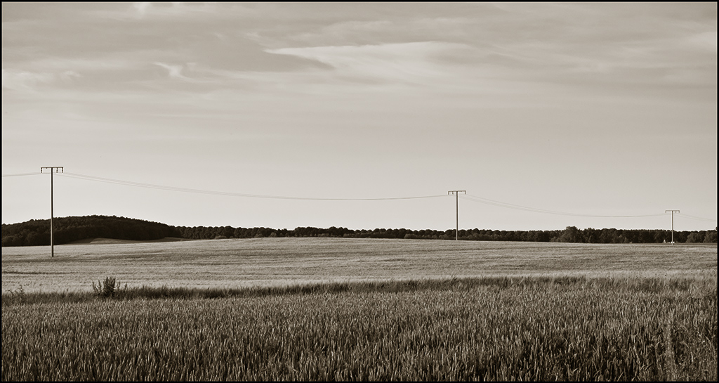 Neeberg_d90