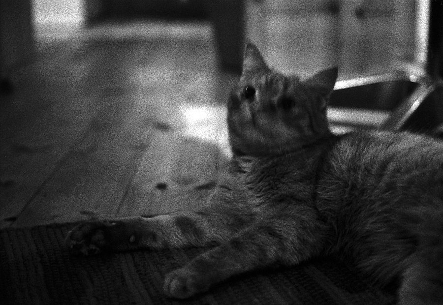 neg 06 beab