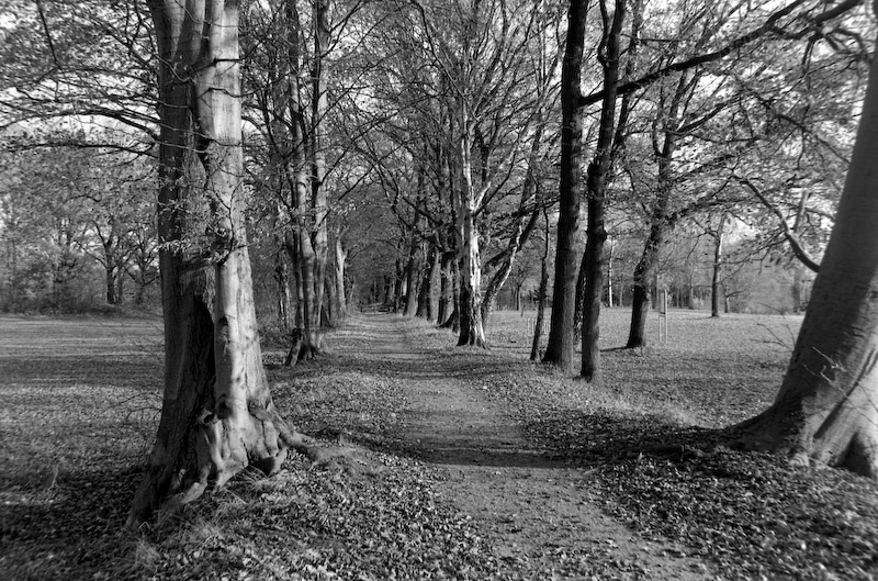 Neg2009 1782