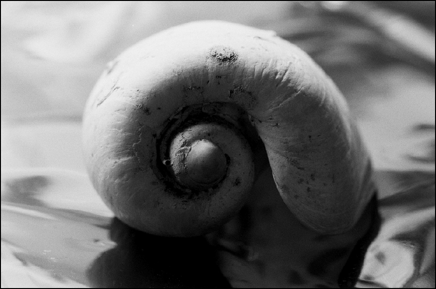Neg2010 095