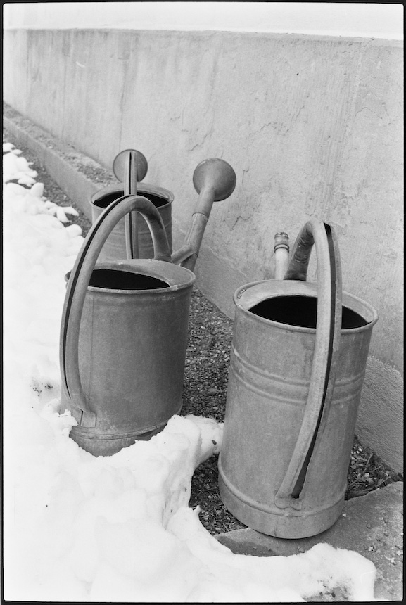 Neg2010 199