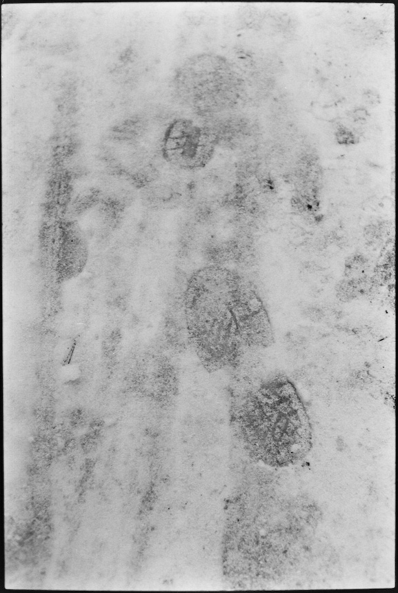 Neg2010 209