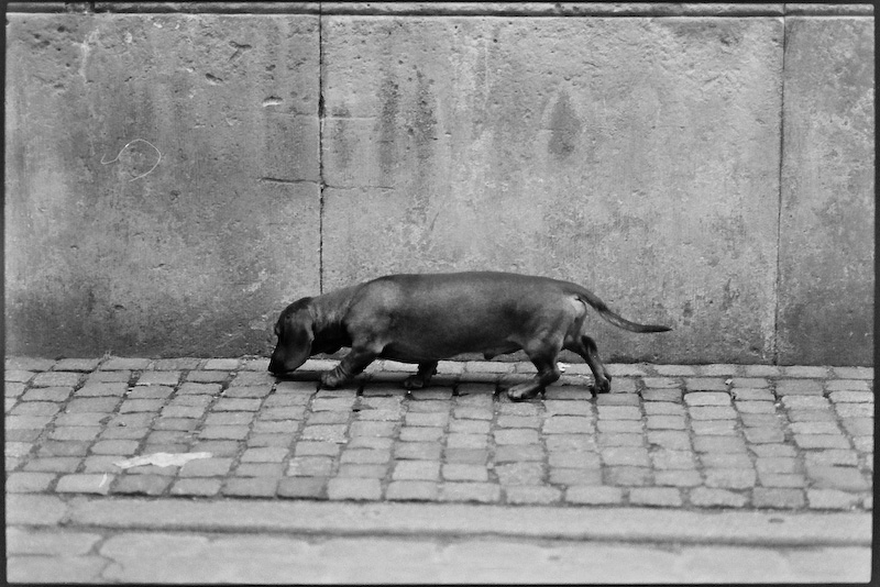 Neg2010 228