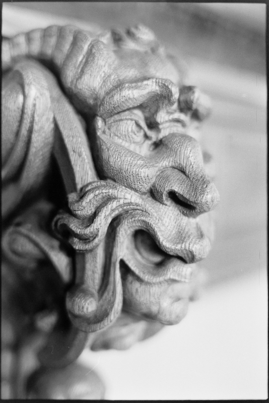 Neg2010 236