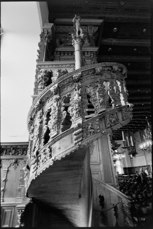 Neg2010 240