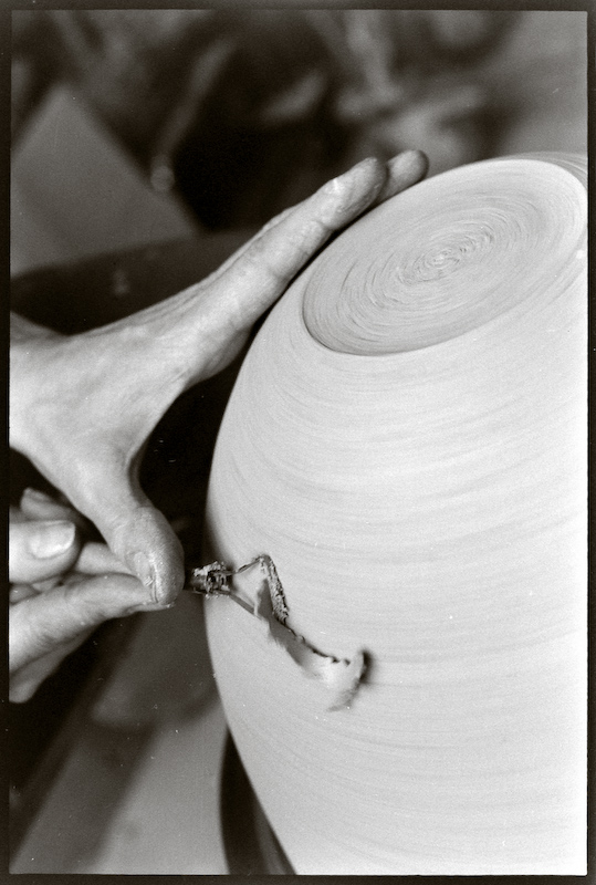 Neg2010 310