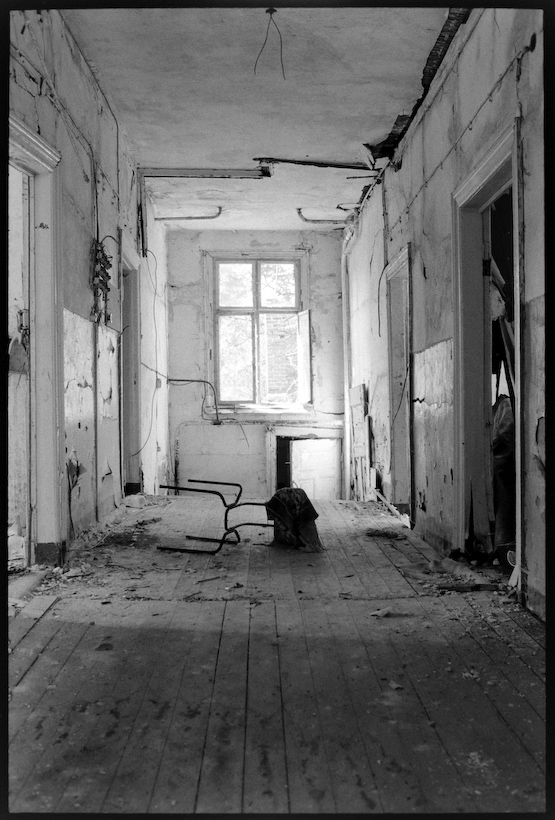 Neg2010 527