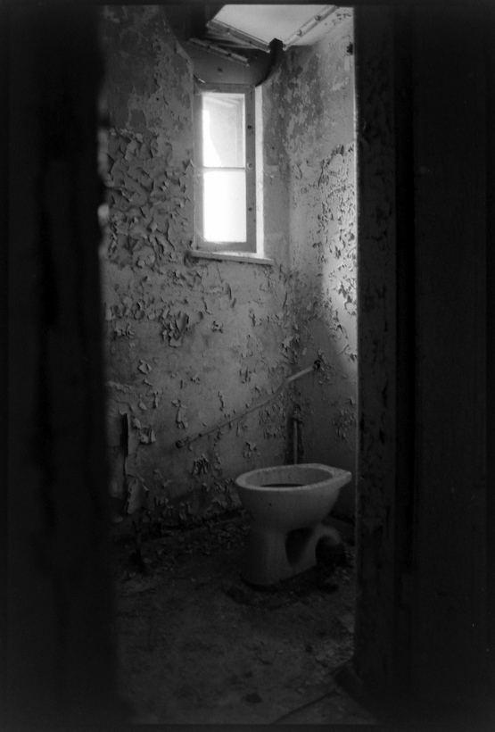 Neg2010 550