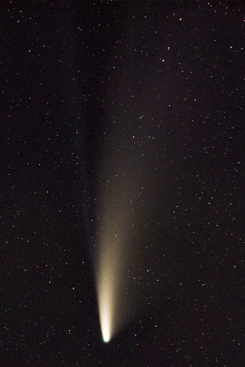 Neowise