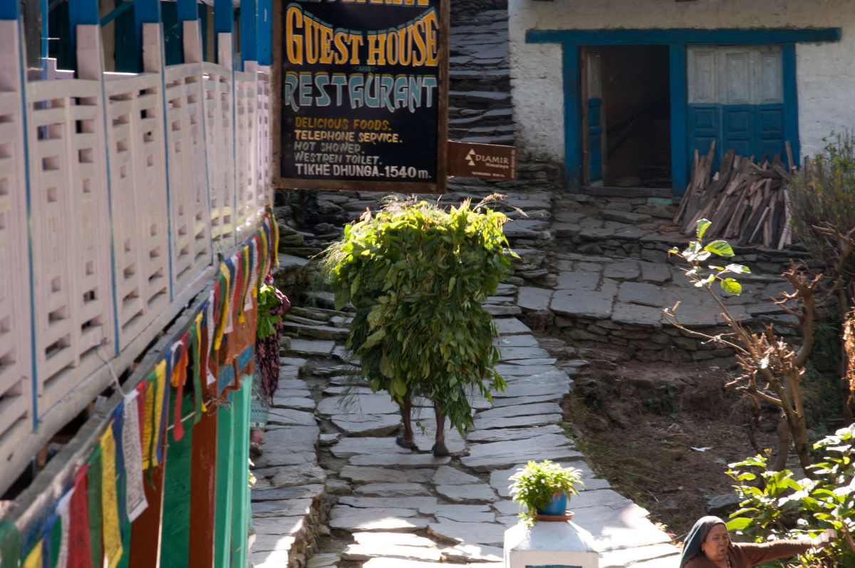 Nepal  (130)