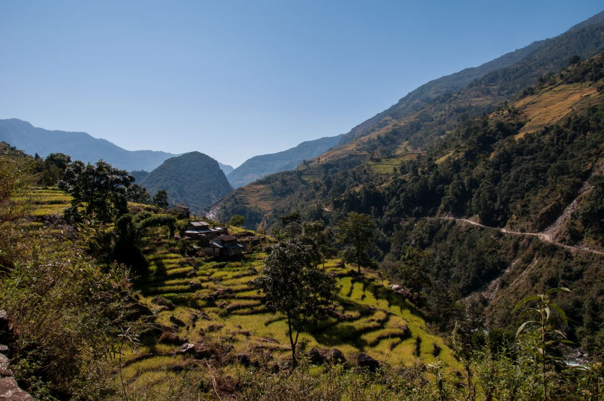 Nepal  (18)