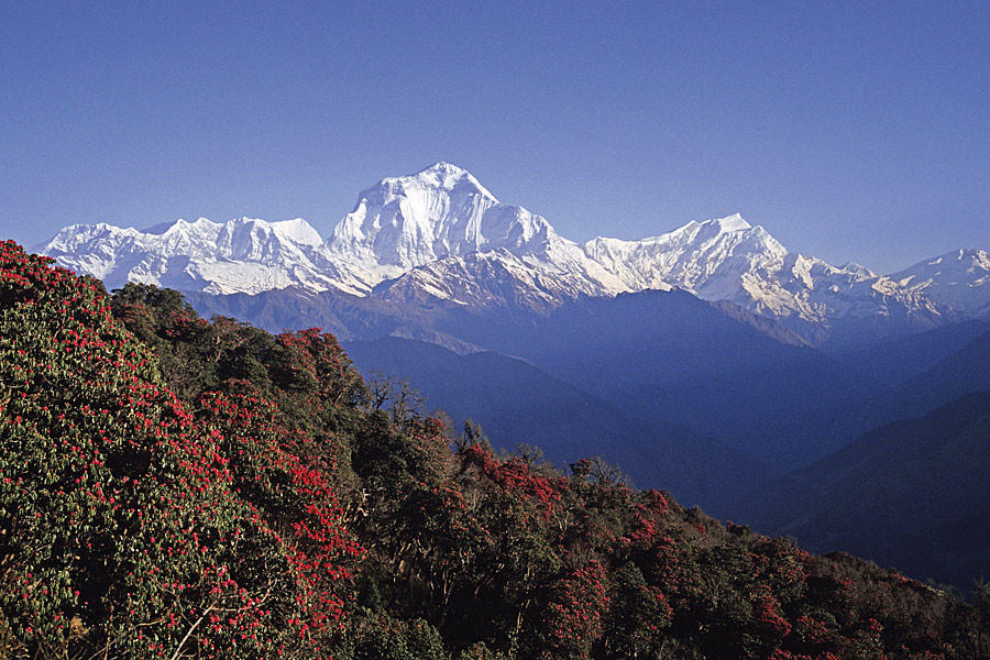 Nepal 1998 JE Dhaulagiri 473 NFF