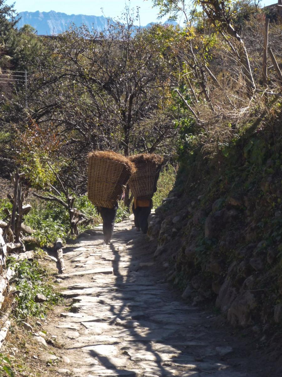 Nepal  (42)