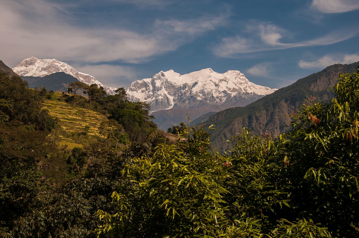 Nepal  (9)
