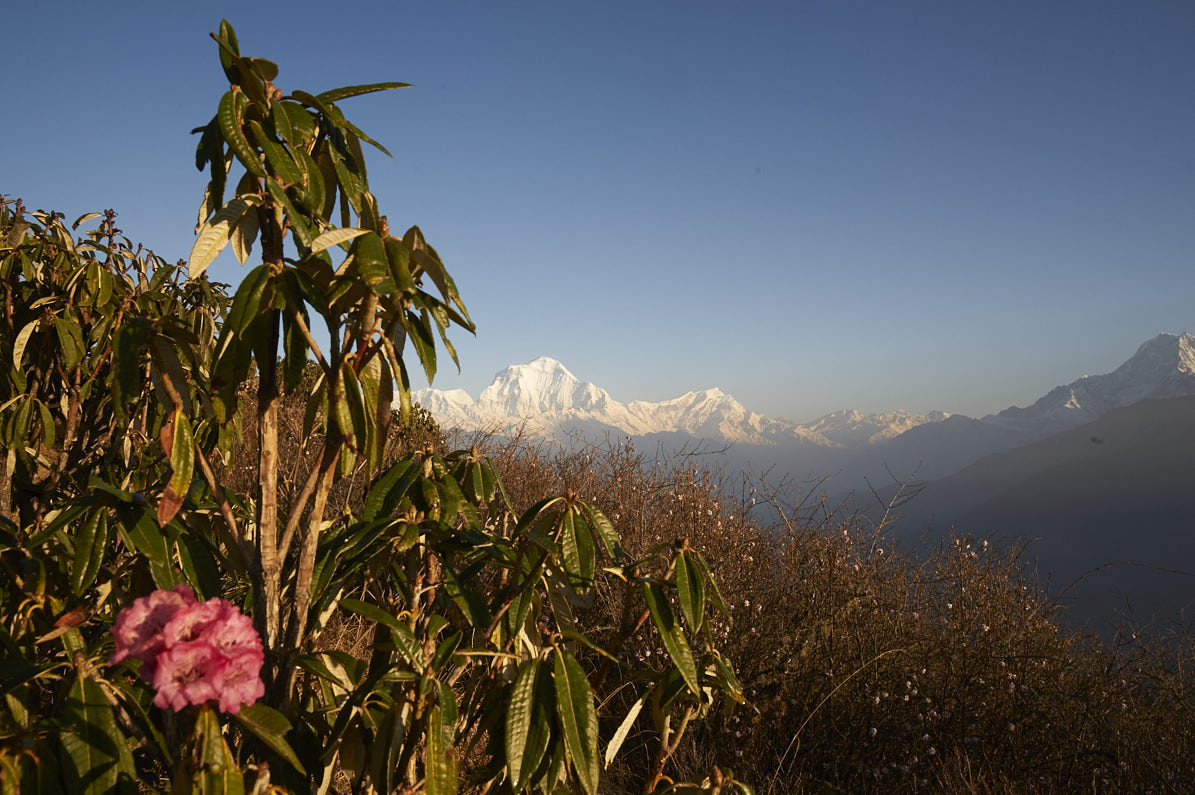 Nepal22 03 16–0215