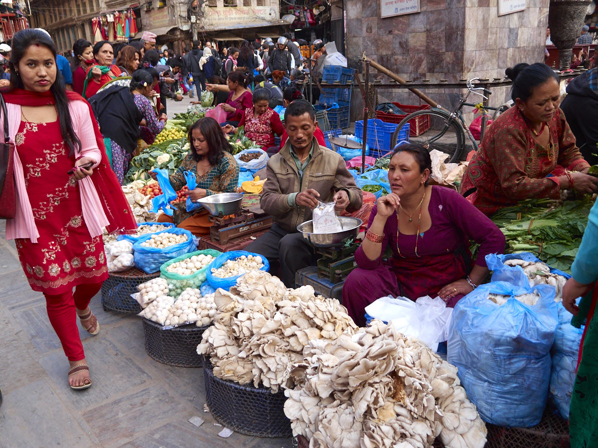 Nepal29 03 16–0407