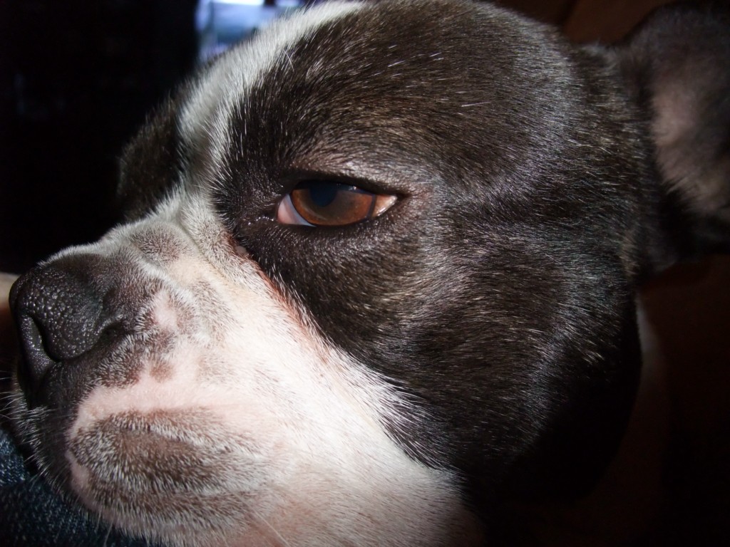 Netter Blick