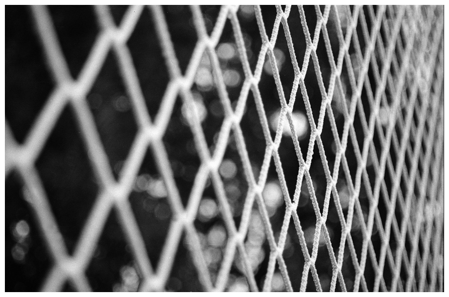 Netz