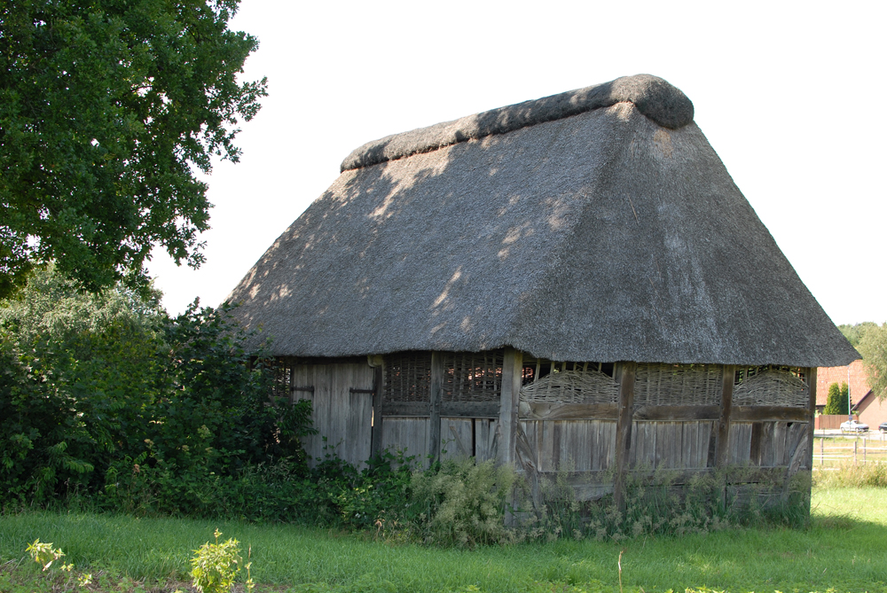 Neubruchhausen 4.jpg